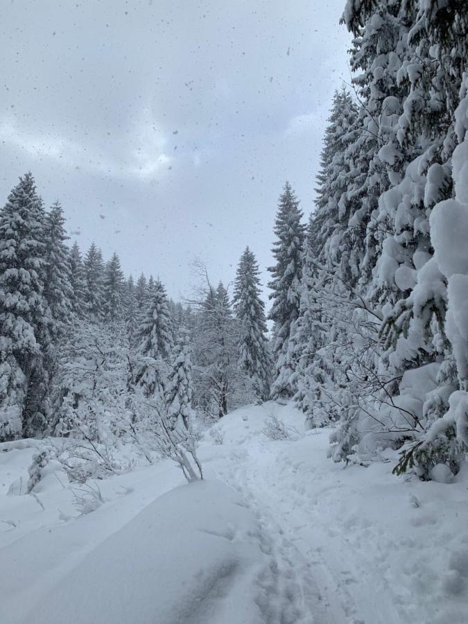 Challet Jasna Exclusive **** Demänovská Dolina Buitenkant foto