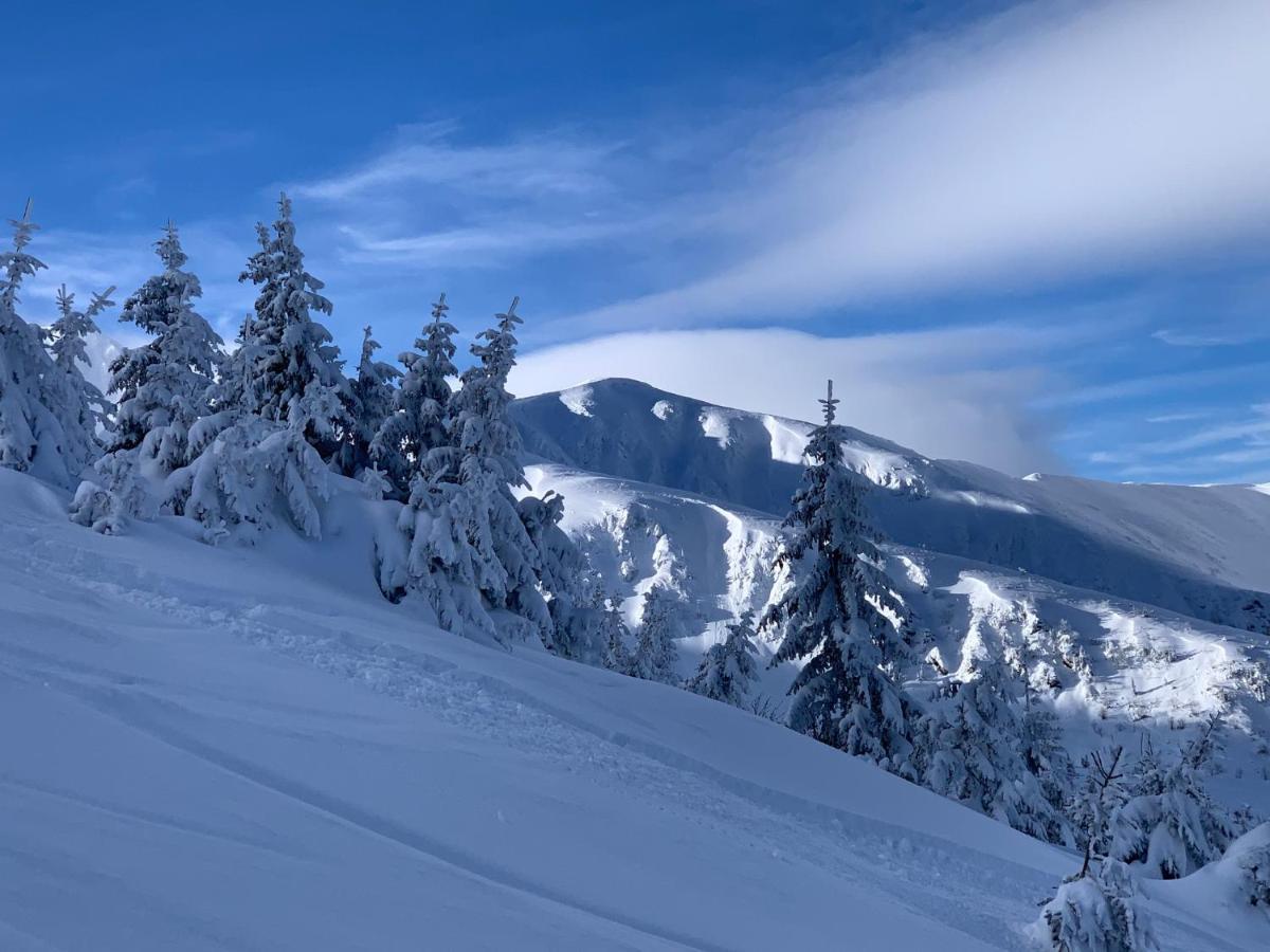 Challet Jasna Exclusive **** Demänovská Dolina Buitenkant foto